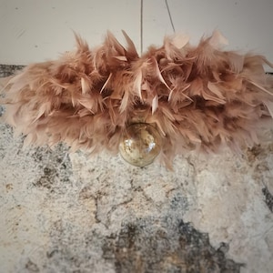 May include: A light brown feather chandelier with a clear glass globe in the centre.