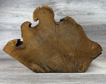 Large Live Edge Wood Sculpture / Organic Modern Wood Slab Art / Wabi Sabi Rustic Tree Slice Decor / Natural Wood Statement Piece