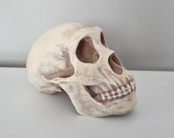 ネアンデルタール人の頭蓋骨、レプリカ。 ネアンデルタール人の頭蓋骨のレプリカ - Etsy 日本