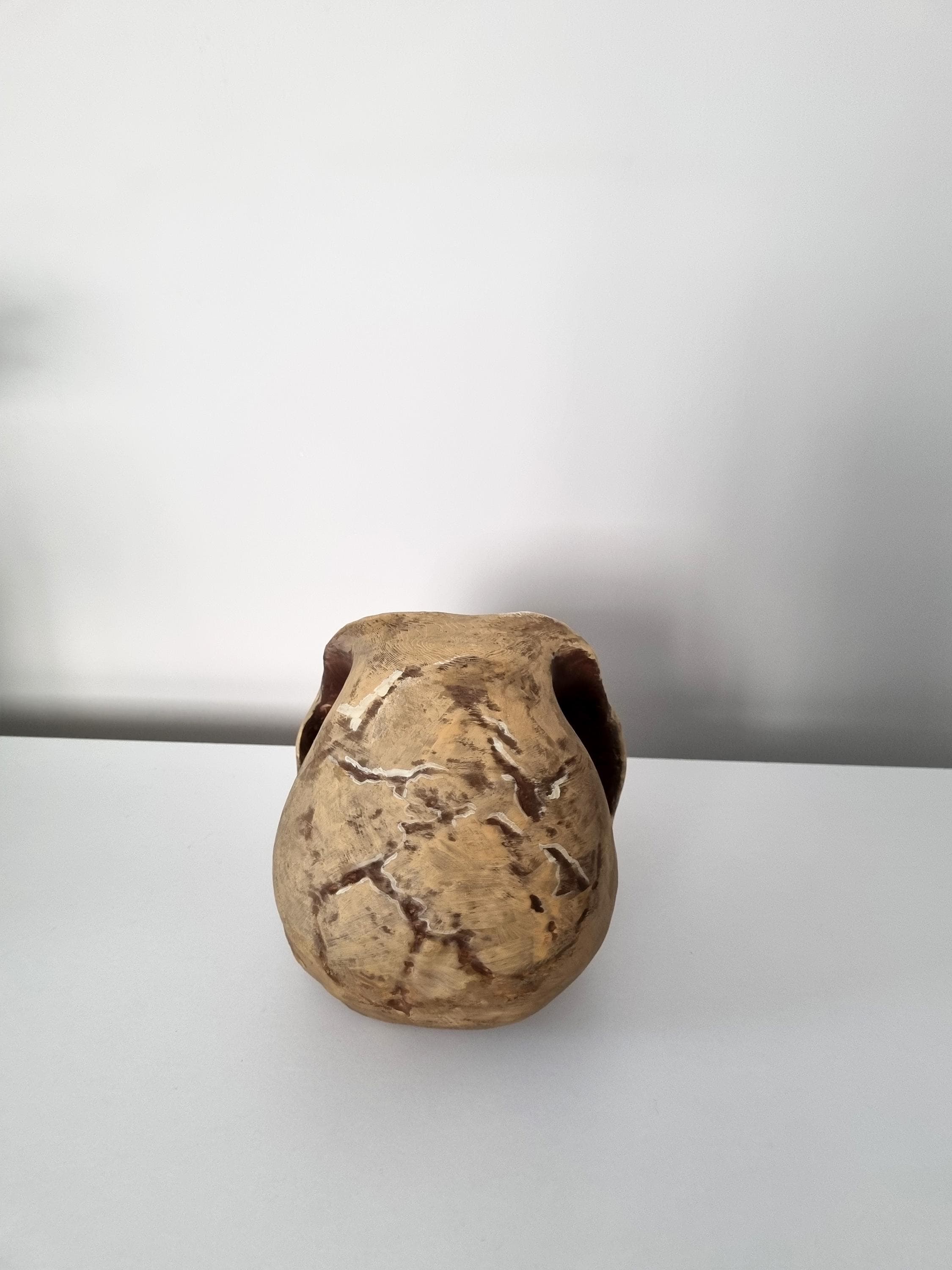 3Dプリントされたホモ・ハビリスの頭蓋骨レプリカ - リアルな化石