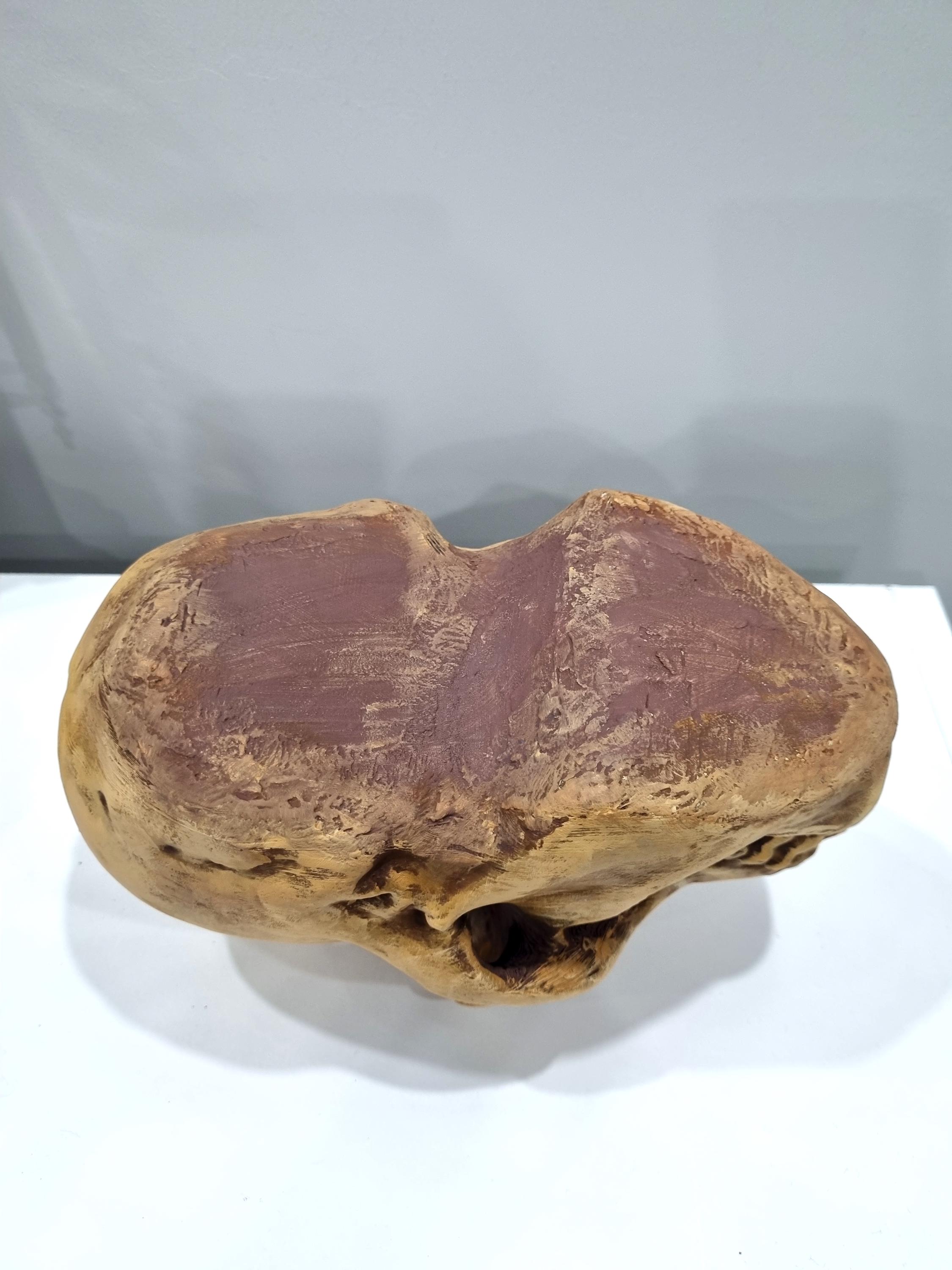 3Dプリントされたホモ・ハビリスの頭蓋骨のレプリカ - リアルな