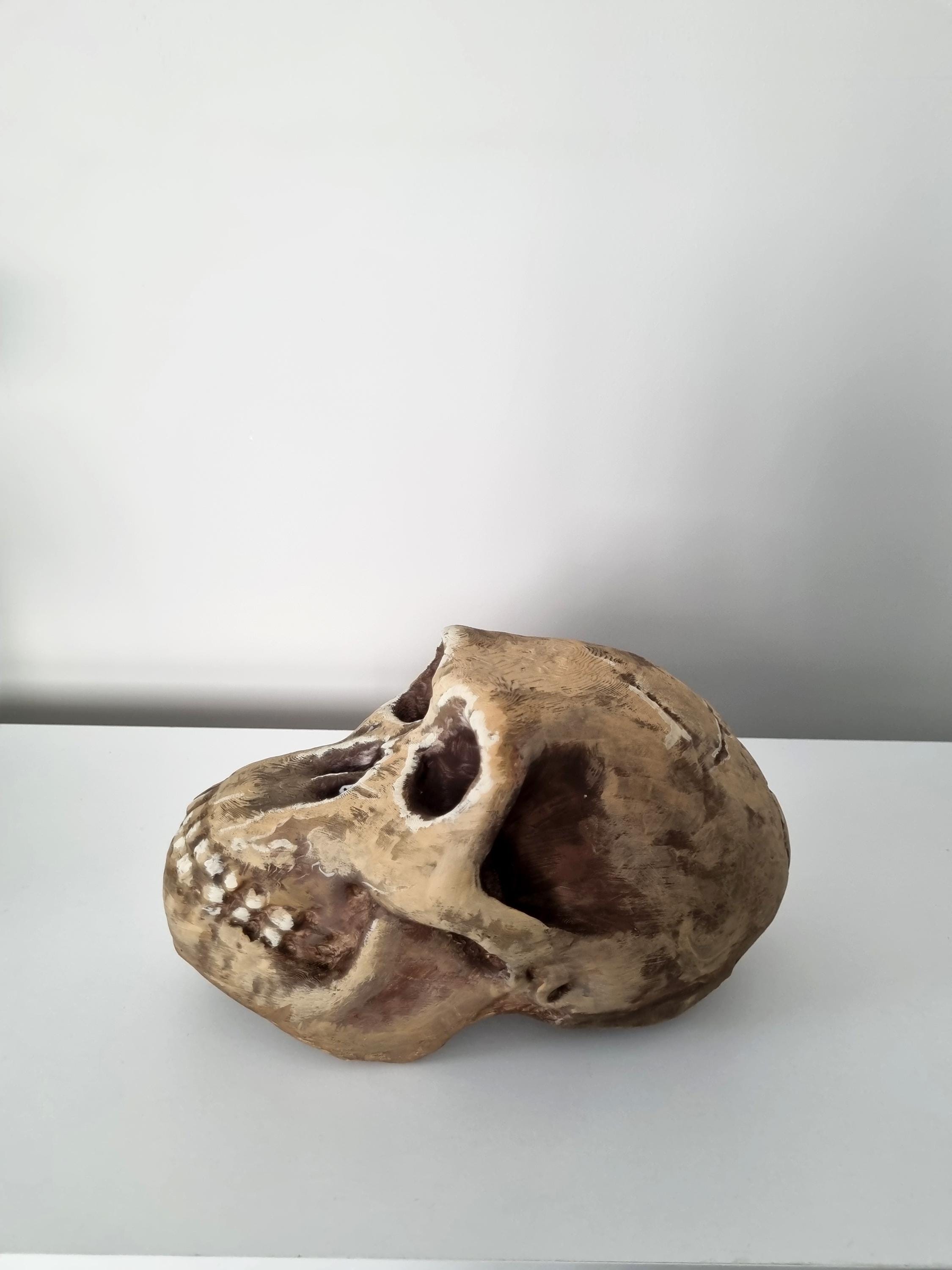 3Dプリントされたホモ・ハビリスの頭蓋骨レプリカ - リアルな化石