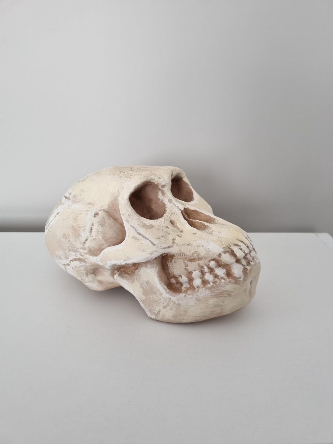 ホモハビリス頭骨模型 il_1080xN.6856845061_ieof.jpg