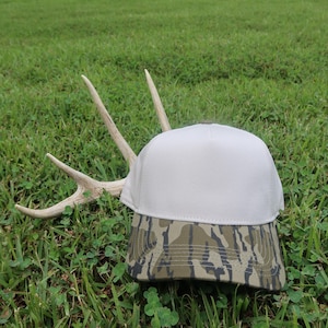 May include: A baseball cap featuring a solid light gray front panel and a brim with a brown, green, and black camouflage pattern, positioned next to a set of light-colored deer antlers with multiple points extending outward.