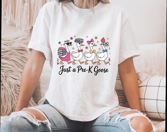 Pre-K Goose Classroom Print: Funny Preschool Decor (Digital Download PNG File)