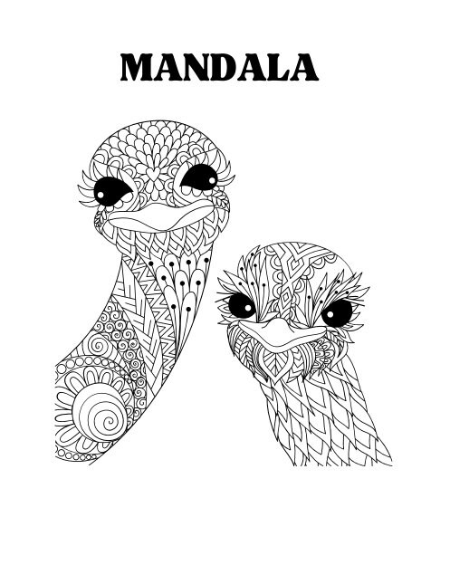 Mandala Animals Coloring Pages - Etsy