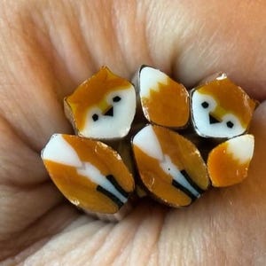 COE 90 - Red Fox Kit Murrine