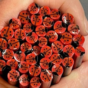 COE 90 - Ladybug Murrine