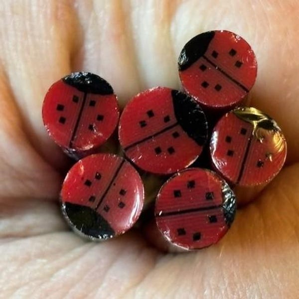 COE 96 - Ladybug Murrine