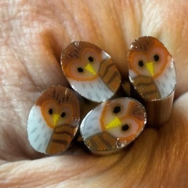 COE 96 - Barn Owl Murrine