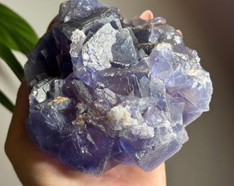 Kubisch fluorietspecimen: paars en blauw, Pakistan, 780 g