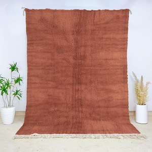 May include: A large, rectangular, rust-colored rug with a shaggy texture. The rug has a cream-colored fringe along the bottom edge and is hanging against a white wall. The rug is a decorative floor covering.