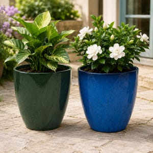 May include: Two glossy, tapered cylindrical planters in deep forest green and vibrant cobalt blue. The green planter holds a leafy plant with variegated foliage, while the blue planter contains a gardenia shrub with white flowers and buds.