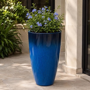 May include: A tall, tapered cylindrical planter with a glossy finish that transitions from a deep navy blue at the top to a vibrant royal blue at the base. The planter is filled with a lush green plant featuring small, delicate light blue flowers.