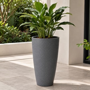 May include: A tall, tapered, dark gray cylindrical planter with a textured finish. The planter contains a lush green peace lily plant with multiple broad, pointed leaves extending upwards from the dark soil visible at the top of the container.