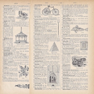 Illustrated Antique Dictionary Pages 10 Sheets 5” x 7.5”  Collage, Mixed Media Art, Junk Journal, Decoupage, etc. from Vintage French Book