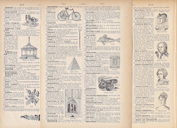 Antique Dictionary Pages (10 sheets) for Collage, Mixed Media Art, Junk Journal, Authentic pages from Vintage French Book