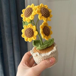 May include: A crocheted sunflower arrangement in a small pot. The sunflowers have yellow petals and brown centers. The pot is beige with a ruffled edge. The leaves are green. The arrangement is held in a hand.