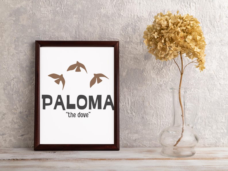 Paloma Name Meaning Personalized Name Sign, Girls Name Etsy