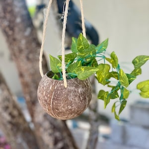 Fioriera in cocco/Fioriera fatta a mano/Piante da casa/Vero cocco