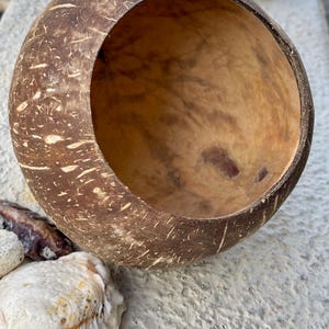 Coconut Shell / DIY / Great for Aquarium Terrarium / Polished / Flower Vases / Decor