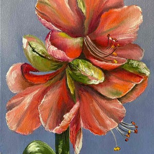 amaryllis oil painting on canvas, original art, flower painting, stretched canvas 7.9 by 11.8 inches, 20 by 30 centimeters, unframed