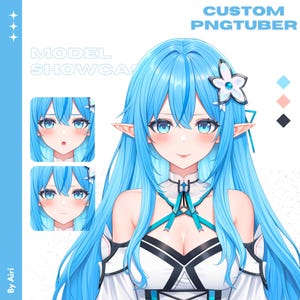 CUSTOM PNGTUBER | PNGtuber, PNGtuber Commissions, PNGtuber Model, PNGtuber Character, PNGtuber for Streamer, PNG Model, PNGtuber Anime