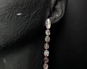 Örhängen med abalonesnäcka i sterlingsilver, långa skimrande hängen, smycken med kusthav
