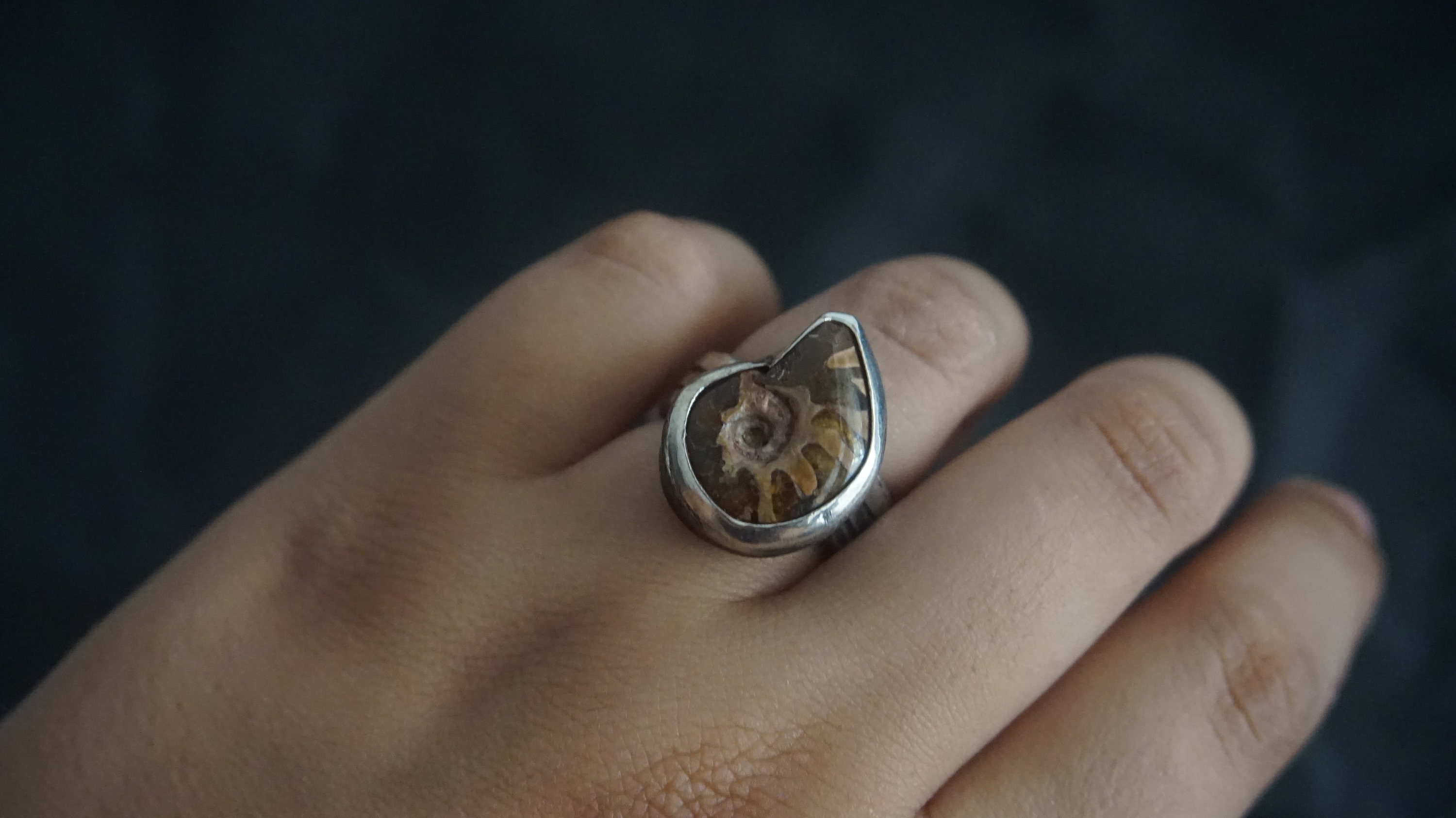 reddit fossil gen 4 ring