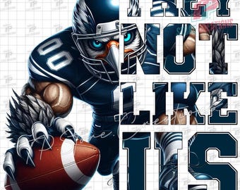 Seahawks They Not Like Us Png, Seahawks Football Sublimation PNG, Seahawks design, Seahawks Mascot Png, Seahawk Art, Play Offs Art