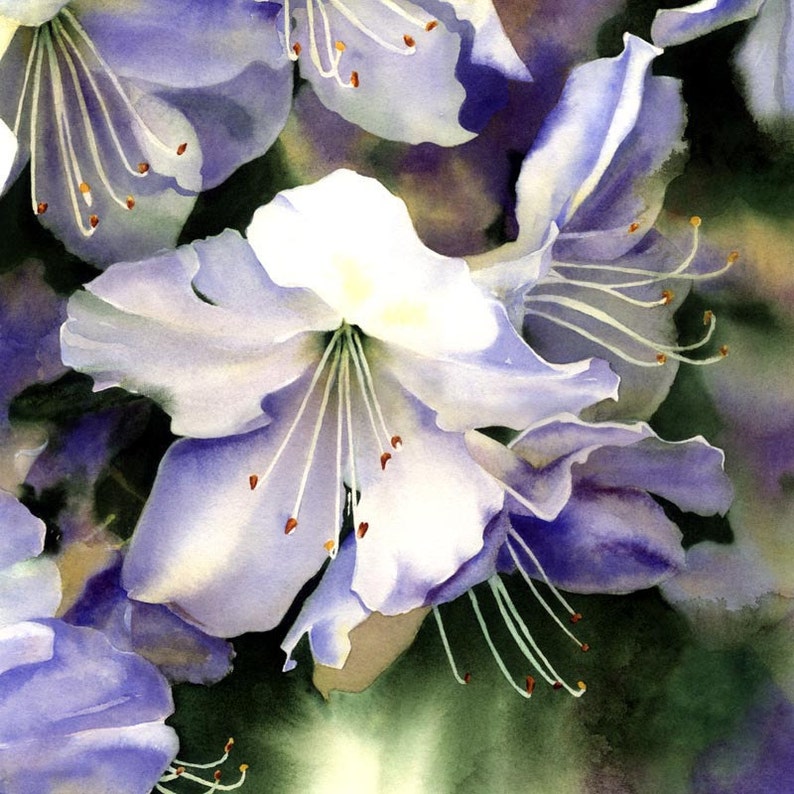 Watercolor Painting of White Flowers Giclee Print Etsy