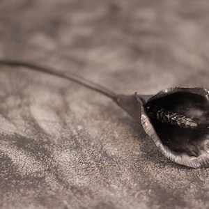 Può includere: Una scultura artigianale di calla in metallo. Il fiore è di un grigio argento scuro con petali strutturati e un lungo e sottile stelo. La scultura è ambientata su uno sfondo grigio screziato.