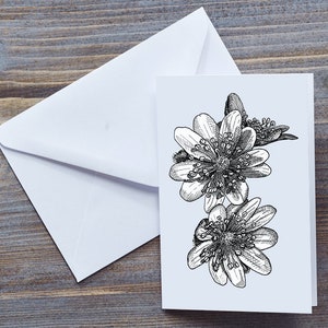 Greeting Card-Liverleaf Bloom | Hand drawn line art | Blank inside | Envelope | Eco-friendly materials