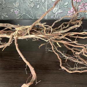 Könnte beinhalten: Eine Sammlung getrockneter, brauner Baumwurzeln, einige dicker und einige dünner, in einem verwickelten Haufen auf einer dunkelbraunen Oberfläche angeordnet.
