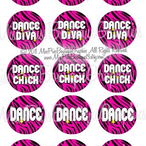 May include: Twelve round pink and black zebra print stickers with white text. The text on the stickers reads "Dance Rocks!" "Dance Diva" "Dance Chick" "Dance" "Love2 Dance".