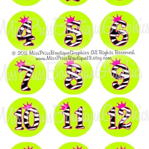 May include: A set of 15 printable zebra print circles with pink crowns and black numbers 1 through 15.  © 2011 MissPrissBoutiqueGraphics All Rights Reserved. www.MissPrissBoutique13.etsy.com