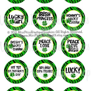 May include: A sheet of St. Patrick's Day themed circular stickers. Each sticker has a green and black zebra print border, a white center, and a shamrock. Text includes "Lucky Charm", "Irish Baby", and "Feelin' Lucky".