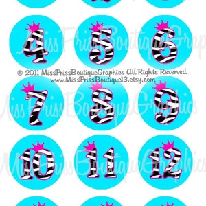 May include: Fifteen round, blue and white zebra print stickers with pink crowns and black numbers 1 through 15.  © 2011 MissPrissBoutiqueGraphics All Rights Reserved. www.MissPrissBoutique13.etsy.com