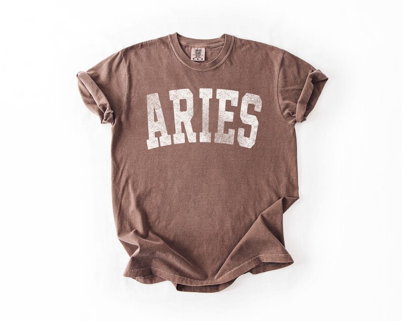 May include: A brown t-shirt with the word "ARIES" printed in white, block letters. The shirt has a vintage, distressed look, with rolled-up sleeves and a crew neck. The shirt is laid flat on a white surface.