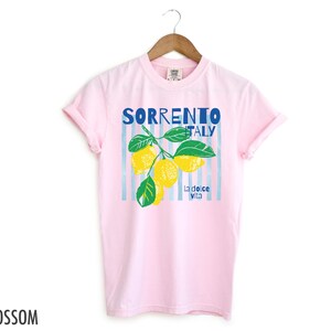 Puede incluir: Camiseta rosa claro con un dise&ntilde;o de limones y la frase "Sorrento Italy" en azul. La frase "la dolce vita" tambi&eacute;n est&aacute; presente. La palabra "Blossom" est&aacute; impresa en la esquina inferior izquierda.
