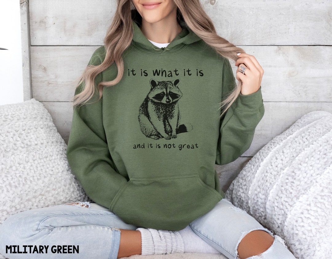 It is What It is and It is Not Great, Funny Hoodie, Meme Sweatshirt