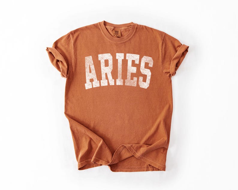 May include: A terracotta-colored t-shirt with the word "ARIES" printed in white, block letters. The shirt has a crew neck and rolled-up sleeves. The fabric has a slightly faded, vintage look.