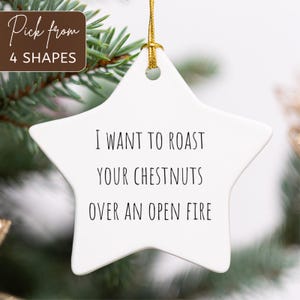 joke ornament, funny ornaments, funny ornament, , stocking stuffer, adult ornament, xmas tree funny, hilarious ornament, funny tree gift