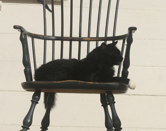 Black Cat on Chair in Profile Color Art Print Photograph - Ready for Framing - Print - Greeting Card