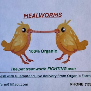1lb Dried Mealworms 18.00