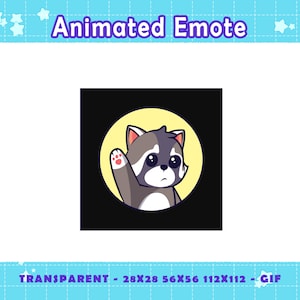 Pedro Racoon Dance Animated Emote: Twitch, Discord, YouTube, Kick (GIF)