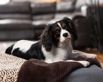 Ocelot Print Pet Blanket – Reversible Teddy Bear Faux Fur Dog Throw, Cat Bedding