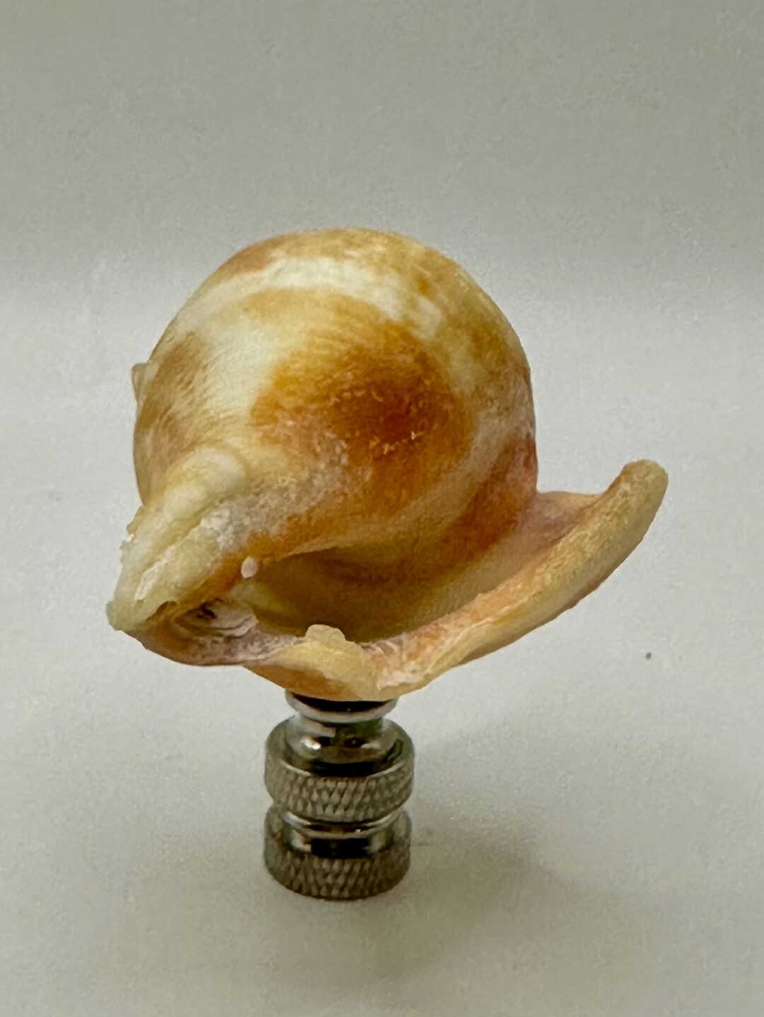 Shells Finials Sea Shell Finial - Etsy