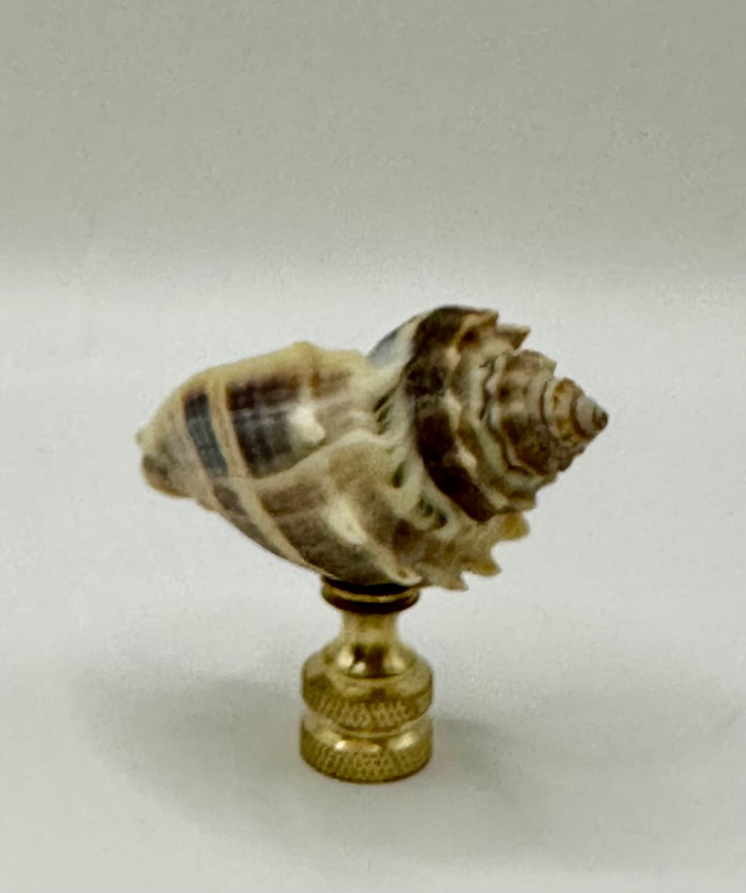 Shells Finials Sea Shell Finial - Etsy