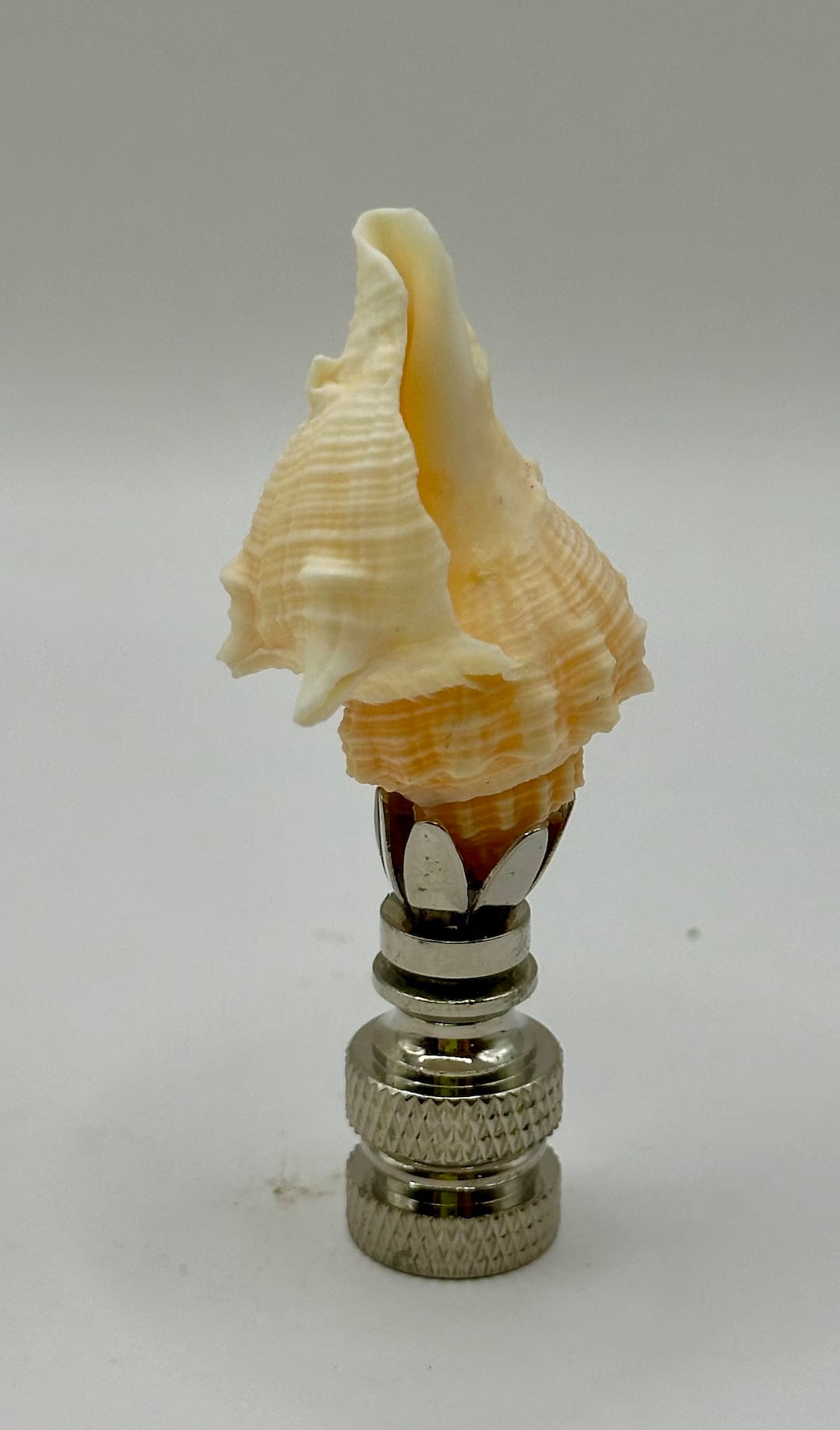 Shells Finials Sea Shell Finial - Etsy